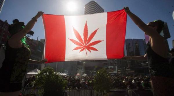 Ţara care a legalizat comerțul cu marijuana