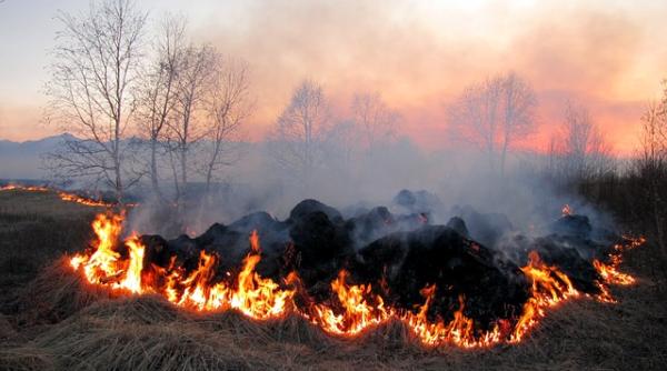 Amenzi de până la 50.000 de lei pentru incendierea vegetaţiei uscate