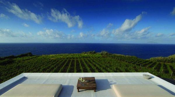 Cinci destinații viticole din Italia care pot fi vizitate în noiembrie