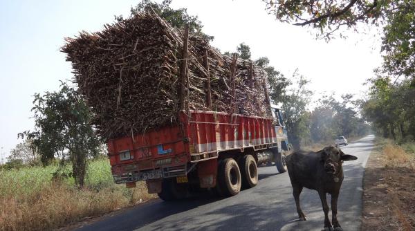 Unul dintre cei mai mari exportatori de zahăr a ajuns să importe  