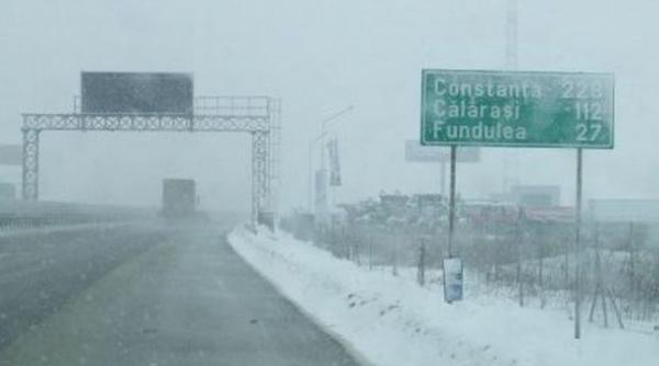 Aproape jumătate de milion de lei, costul exproprierilor din Călărași pentru perdeaua forestieră la A2