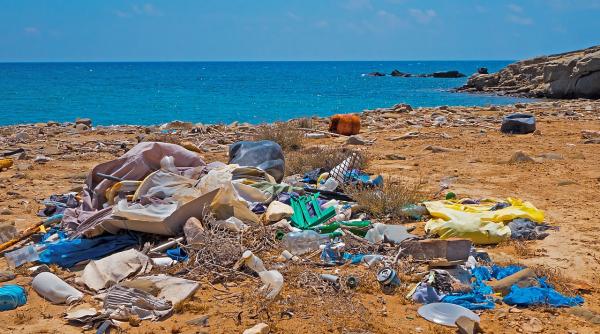 Europenii interzic obiectele de plastic de unică folosință