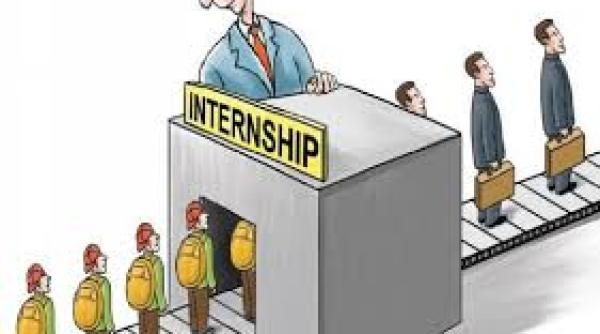 Registrul electronic de evidență a contractelor de internship a fost lansat