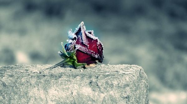 Afacerea neagră cu profit record în 2018. Specialişti: este unul dintre business-urile de perspectivă