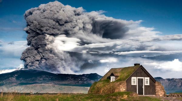 Secretul unei afaceri de succes. Diamantele vândute ca animale de companie