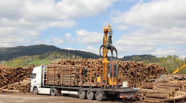 Românii au cumpărat 1,3 milioane metri cubi de lemn pentru foc