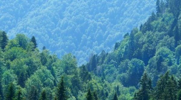 Cât valorează, în realitate, România.  Suntem de 10 ori mai bogaţi decât scrie în toate statisticile oficiale