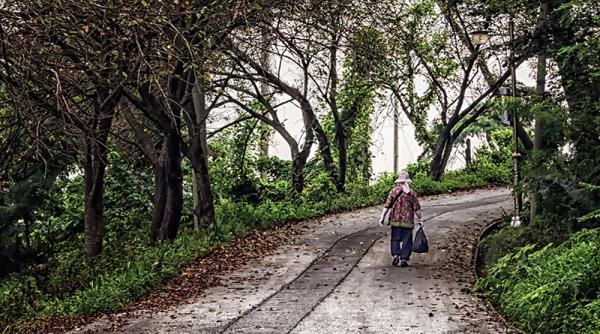 ”Pali-Pali”. Poporul care se grăbește în permanență