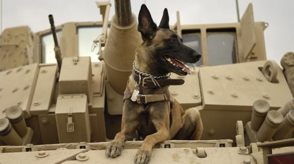 Rusia devine al doilea cel mai mare producător de arme din lume. Cine este liderul