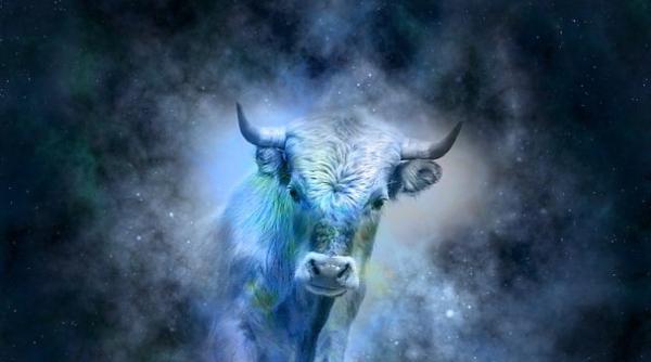 Horoscop financiar 2019. Probleme pentru Tauri la început de an