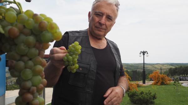 Afacerile guvernatorului BNR. Doar una merge bine