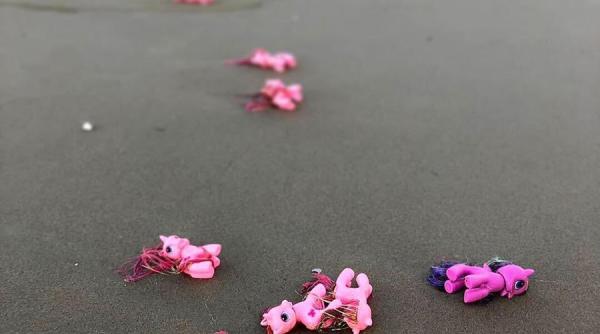 Poluare cu mase plastice, polistiren, piese auto și jucării, în Marea Nordului GALERIE FOTO