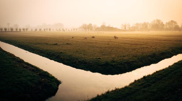 Bani mulți pentru fermieri prin PNDR. Unde merg
