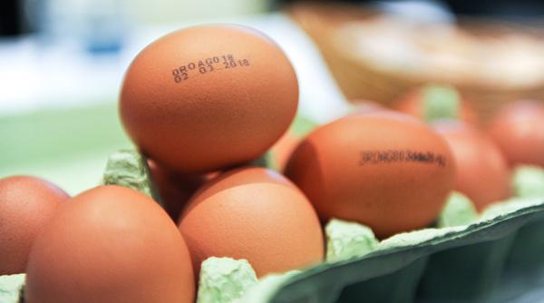 Câteva mii de ouă contaminate cu Fipronil au ajuns în comerț