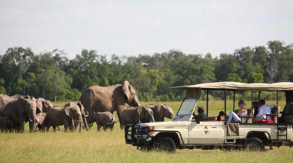 Destinații turistice. Kenya, inima Africii. Când este ideal să o vizităm
