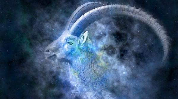 Horoscop financiar 2019. De bani, Capricornii se vor bucura la sfârșit de an