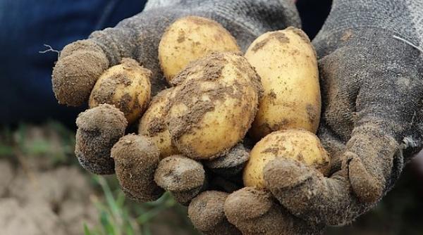 SCUMPIRI în luna cadourilor. Produsele cumpărate cu bani mai mulți