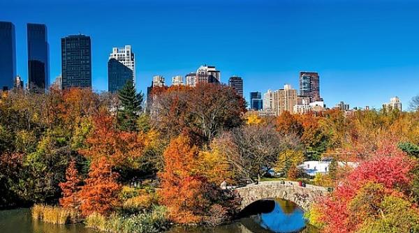 Preț record. S-a cumpărat cel mai scump apartament din SUA