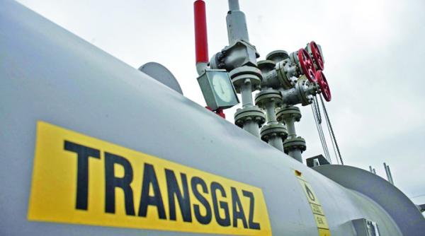 Transgaz Licitație pentru conducta care va exporta gaze în Ungaria