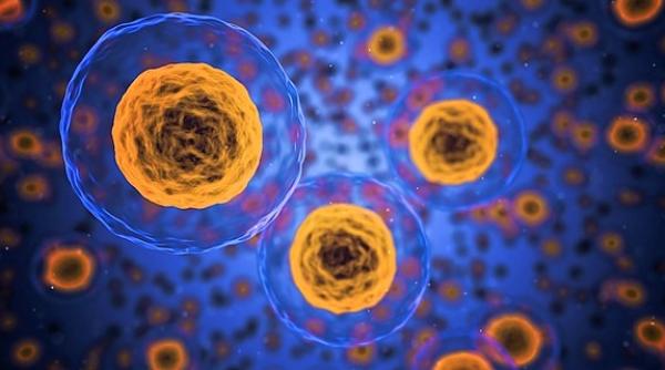 Ucigașul cancerului! Tehnologie, descoperită de o companie israeliană