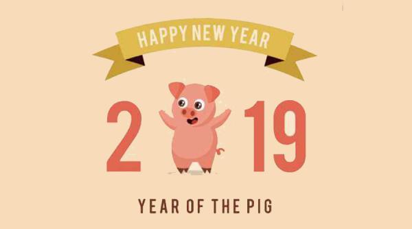 Anul Porcului în calendarul chinezesc. Previziuni sumbre