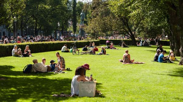 Experimentul salariului minim garantat, un eșec. Cine spune asta