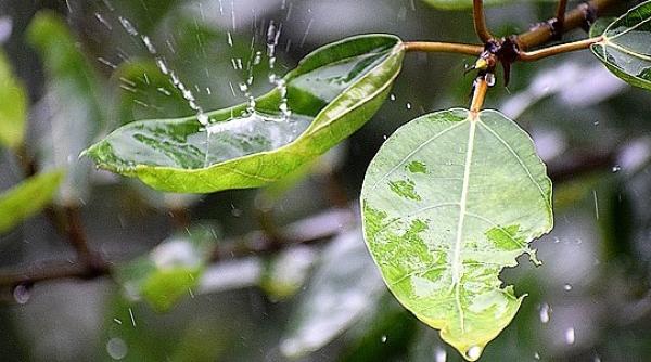 Taxă ABERANTĂ, desființată. Ploile nu mai golesc buzunarele românilor