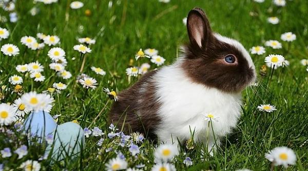 Zile libere în 2019. Se apropie o nouă minivacanță