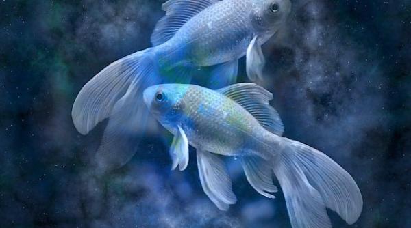 Horoscop financiar. Nativii din această zodie vor câştiga mulţi bani anul asta