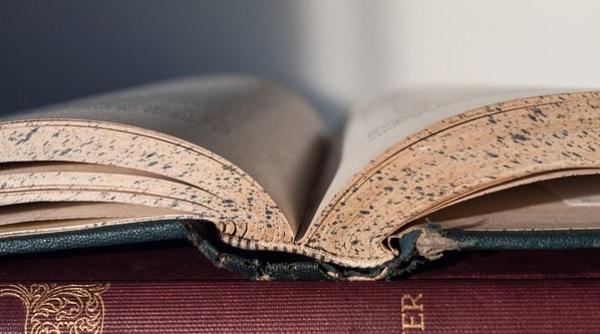 Reședință temporară pentru o bibliotecă. La ce preț