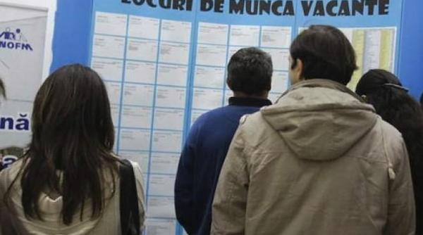 Locuri de muncă. Care sunt planurile ANOFM pentru 2019