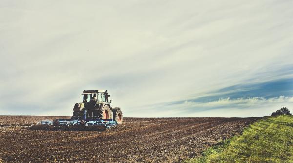 Stimulente financiare pentru tinerii angajați în agricultură