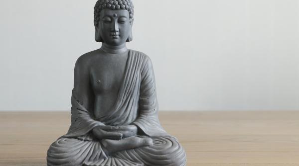 Budiștii Europei au un nou lider. De la un șahist la un luptător de kickboxing