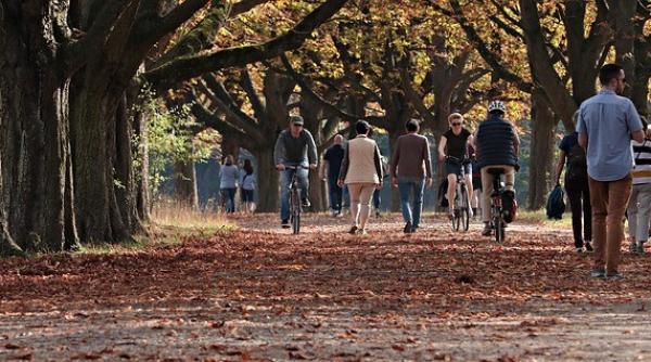 Chinezii au descoperit cum poate fi prevenită o moarte prematură