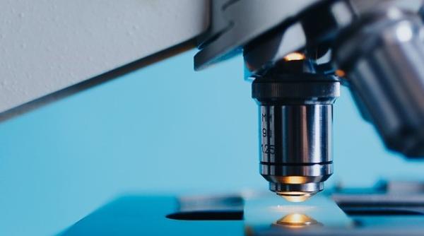 Inteligența artificială, un pericol pentru medicină?