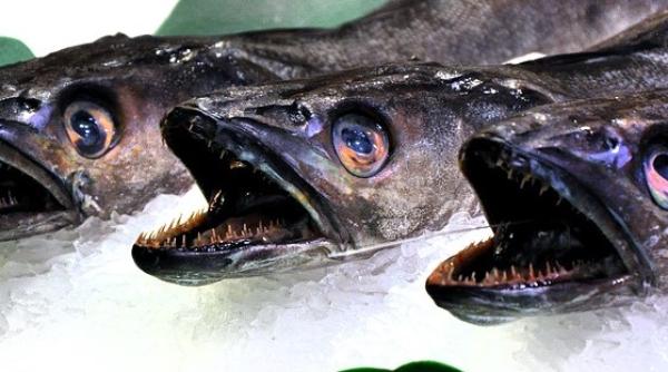 ANPC avertizează: Atenție ce cumpărați din magazine!