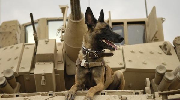 Stop vânzărilor de arme către Arabia Saudită. Decizia unei țări europene