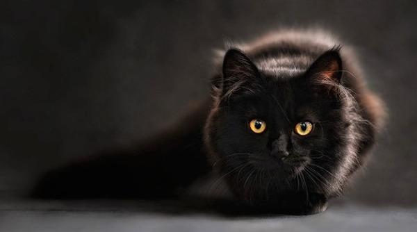 Horoscopul lunii aprilie. Zile cu ghinion! Ce nu trebuie să faci