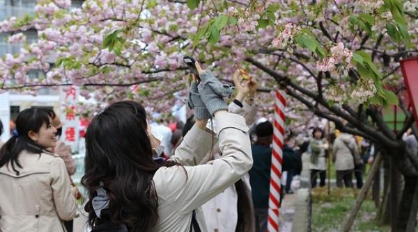 Japonezii, un altfel de popor! Nu vor ce alții așteaptă cu nerăbdare