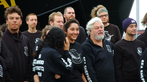 ”Teroarea verde”. Atentatele comise în numele planetei