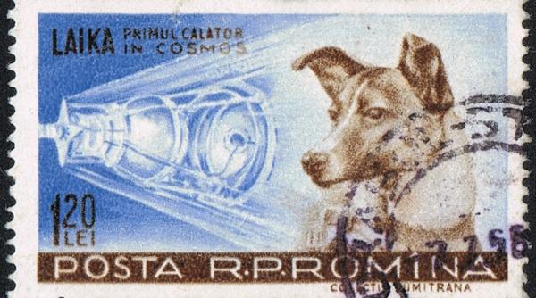 Astronauții patrupezi. De la zoo în nave spațiale