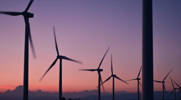 Preţul energiei electrice a scăzut în România 