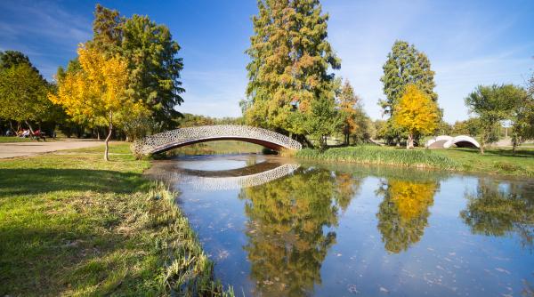 Reparații capitale în Parcul Tineretului