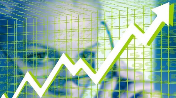 Bursa de Valori. Majoritatea indicilor sunt în creștere