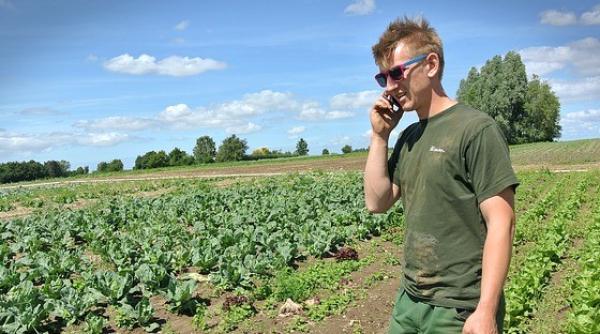 Fermierii americani sunt disperați! Activitatea lor este blocată