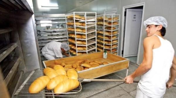 Importată fabrică de pâine întră în faliment. Decizia este definitivă