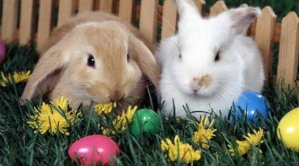 MESAJE de Paște 2019. Urări, gânduri bune și glume pentru toată lumea