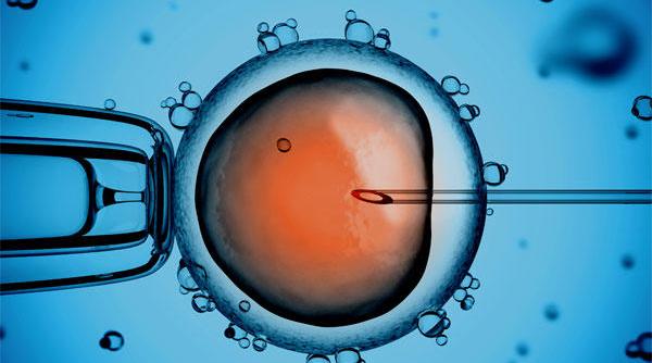 Ce se întâmplă de fapt cu concediul suplimentar pentru femei