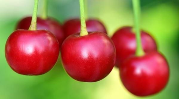 Au apărut cireșele. Ce salariu trebuie să ai pentru a cumpăra un kilogram