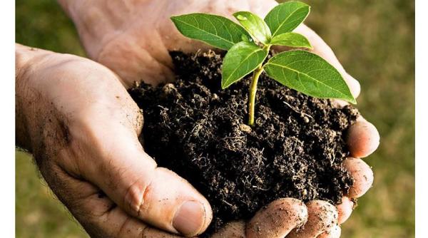 Aceste alimente vor fi mai ieftine. Care va fi impactul 